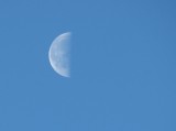 Morning Moon.jpg