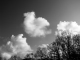 What Do You See?.jpg