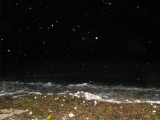 Owen Park Beach Vineyard Haven.jpg