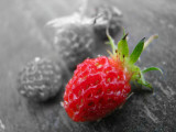 Wild Strawberries.jpg