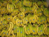 Go Bananas.jpg