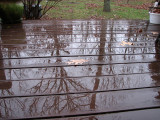Reflections 3.jpg