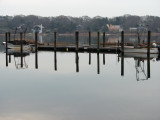 Natures Mirror.jpg