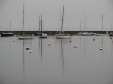Boats n Buoys.jpg