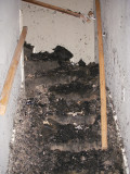 DSCN1430.JPG
