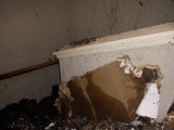 DSCN1479.JPG