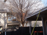 DSC05699.jpg