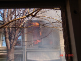 DSC05701.jpg