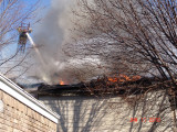 DSC05703.jpg