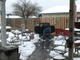 Snow in Texas - Feb, 2010