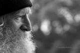 Man with Beard #2 - London