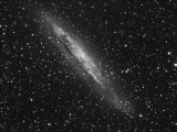 Dusty  NGC 4945 in Centaurus - Luminance only