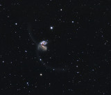 Ringtail Galaxies (NGC 4038 & NGC 4039) Antennae