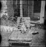 Image from Kodak Plus-X film