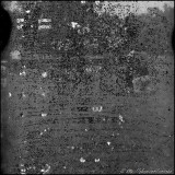 Image from Kodak Plus-X film
