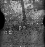 Image from Kodak Plus-X film