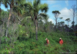 In Lucaya National Park