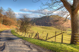 Dinas Bran