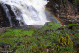 Drizzle Rainbow