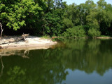 Sandy Bank on the Riverbend