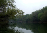 Last Bits of Fog on the Navidad River