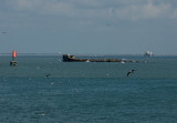 Fishing Boats and Frigate Birds Around The USS Selma