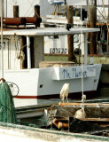 Mr. Marker - Shrimp Boat