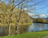 Snoqualmie River Bend, Fall City