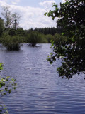 Quiet moor lake