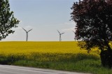 Renewable Energy