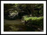 Ethel at the Nitobe Gardens August 5 2008 , UBC, Vancouver