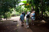 10360- Hawaii-09.jpg