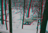The blizzard of fall 2009