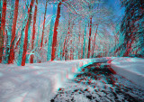 The blizzard of February 2010