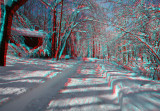 The blizzard of February 2010