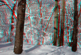 The blizzard of February 2010
