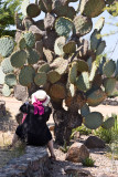 San Miguel, Mexico
