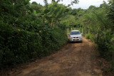 Emilio Scotto test Gran the Vitara Suzuki en Colombia - Chigodoro