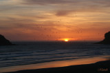 SunsetSkyDance