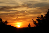 Sunset Suprema