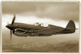 P-40.jpg