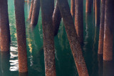 Seattle - under the docks