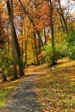 Pennsylvania - Through the fall path