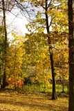 Pennsylvania - State College - There is a park in Sparks, Fall Colors