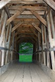 Tunnel towards the green, Spring Creek, PA