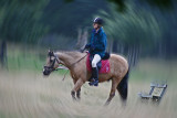 Ride your life---John Gregory