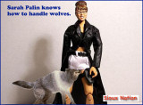 Palin Doll.jpg
