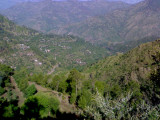 Upper Poth near Jandala