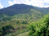 Near Bagh