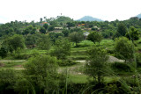 Village